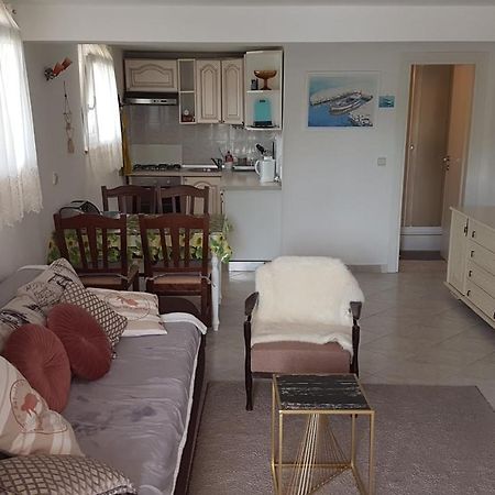 Apartment Branka Labin  Buitenkant foto